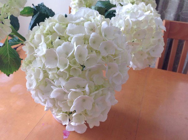 Елена Николаевна Перегудова.