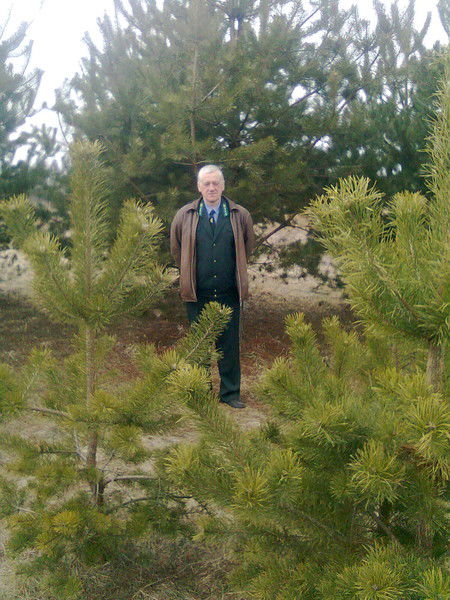 Валерий Воронов