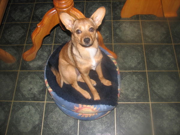 Людмила Костава