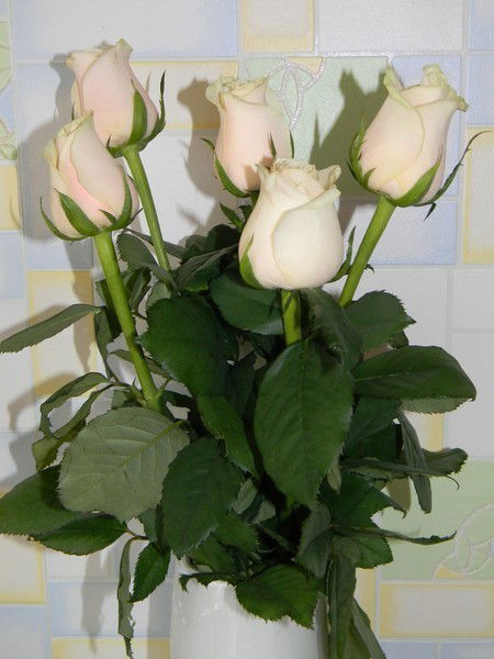 Оксана Пархоменко