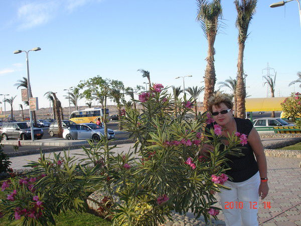 Татьяна Костерина