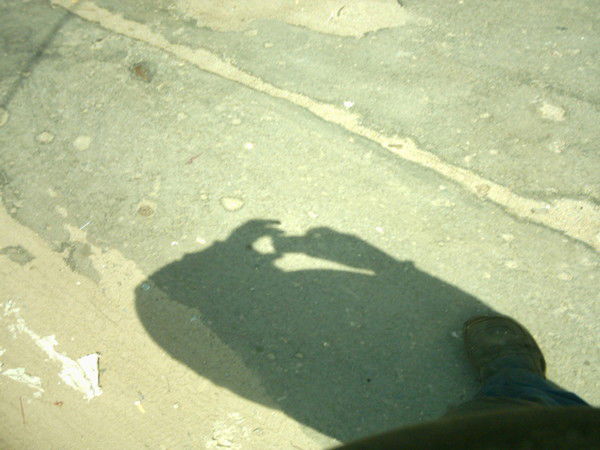 Сергей Куренко