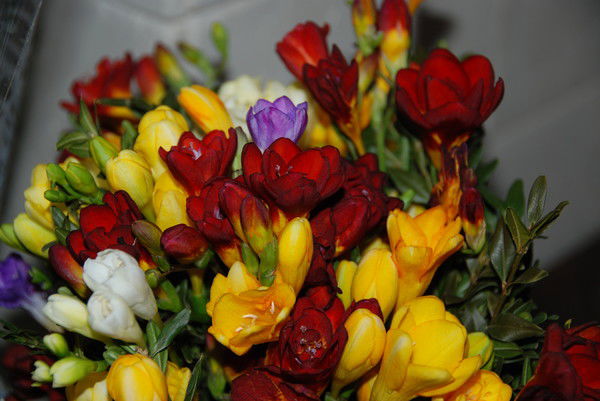 Татьяна Епикова