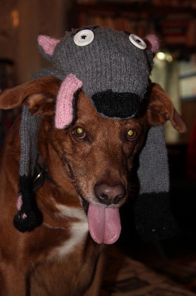 Варвара Поспелова