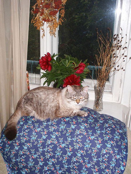 Евгений Саражаков