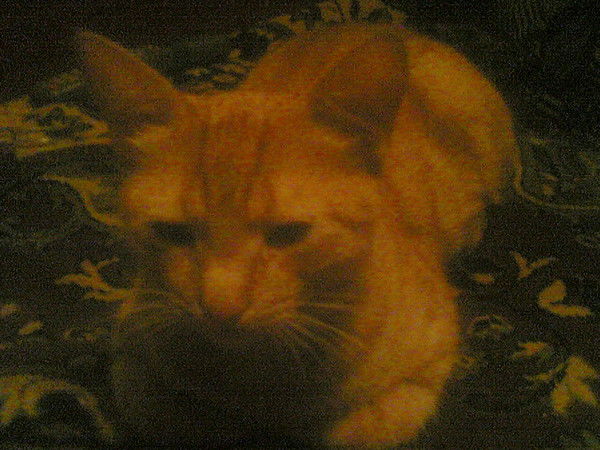 Вадим Федосеев