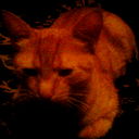 Вадим Федосеев