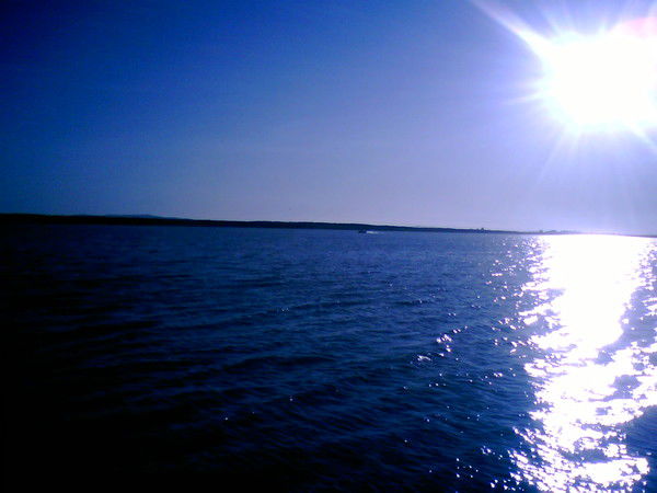 Александр Литвиненко