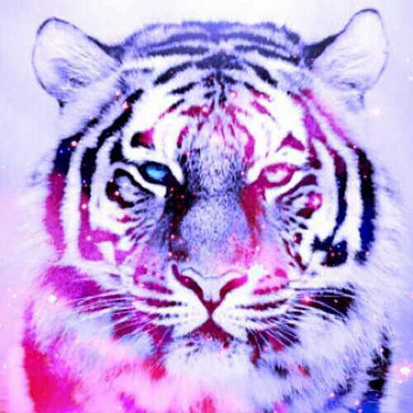 Илья Жарков