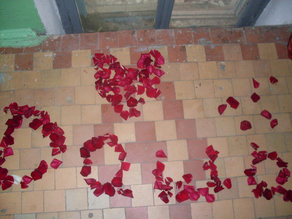 Даррья Балякина