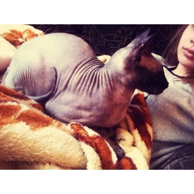 Дарья Фендер