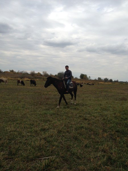 Жигер Абсеит