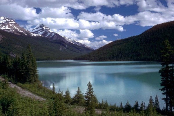 Макпал Сатыбалдиева