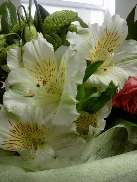 Асем Мукашева