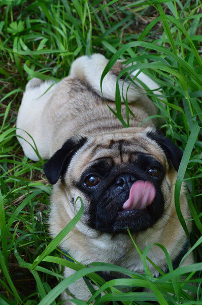 Лида Худорожко