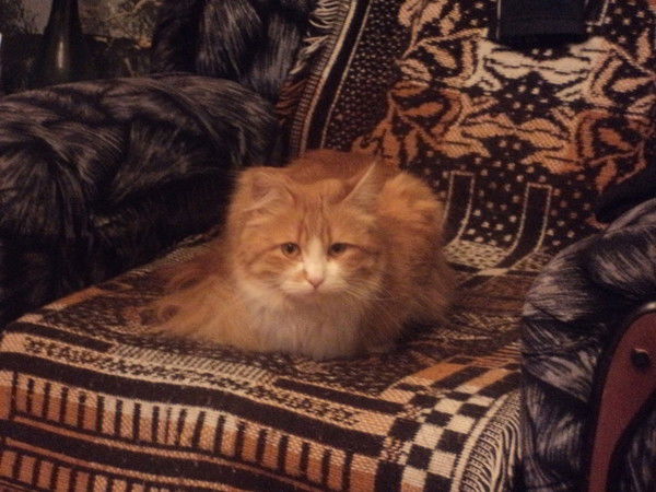 Сергей Михайлов