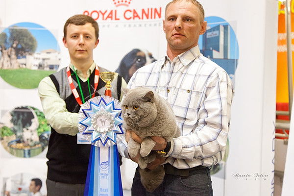 Николай Щукин