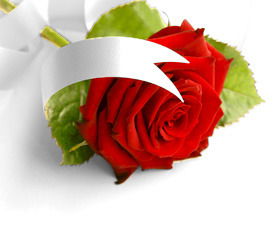 Екатерина Киселева