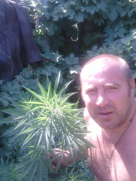 Алексей Загриценко