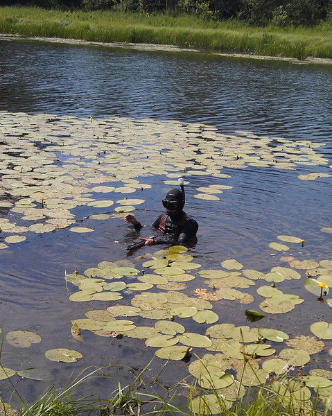 Андрей Насретдинов