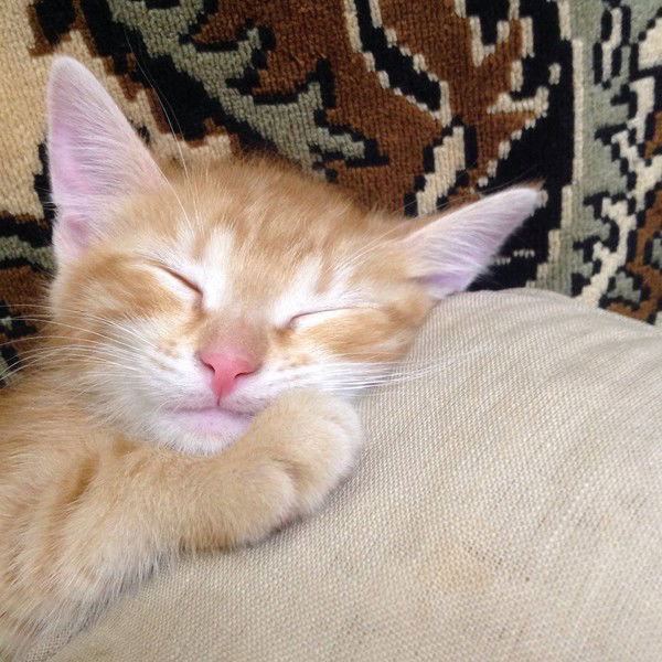 Екатерина .