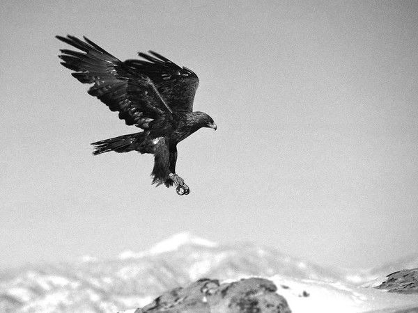 Жалгас Гиззат