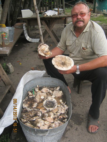 Николай Захаров