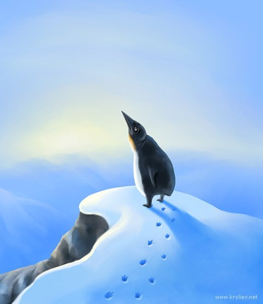 Санчес Коломиец