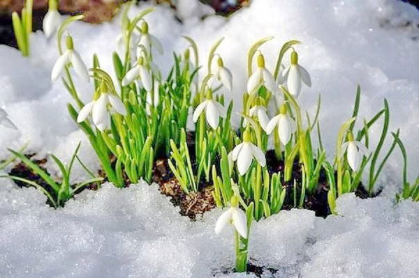 Татьяна Панова