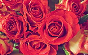 Фатима Маханова