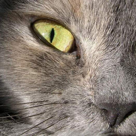 Романтик Романтик