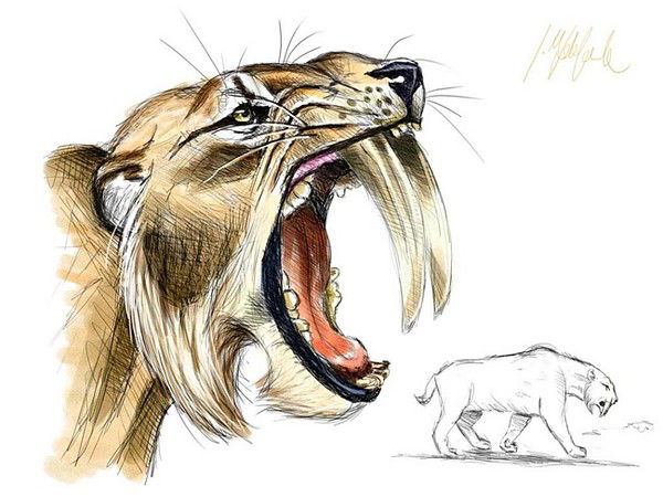 Александр Кораблев