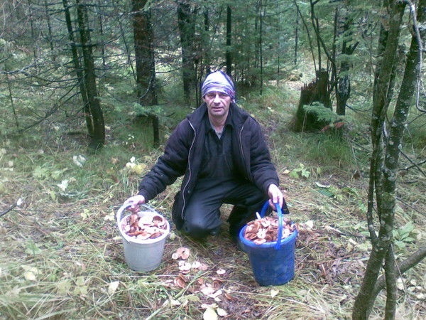 Владимир Петухов