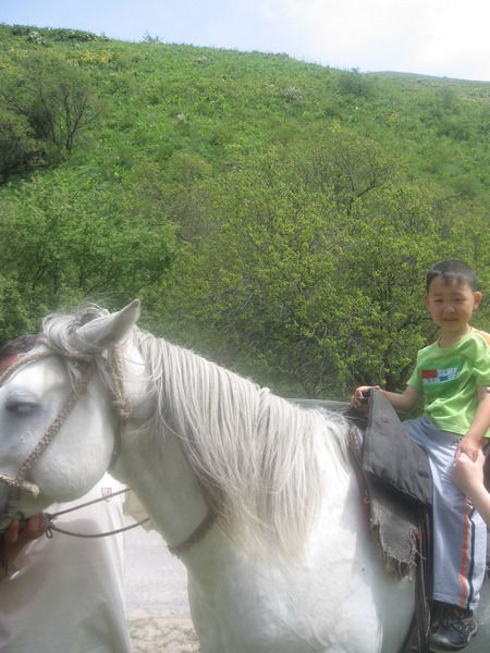 Айгуль Идрисова