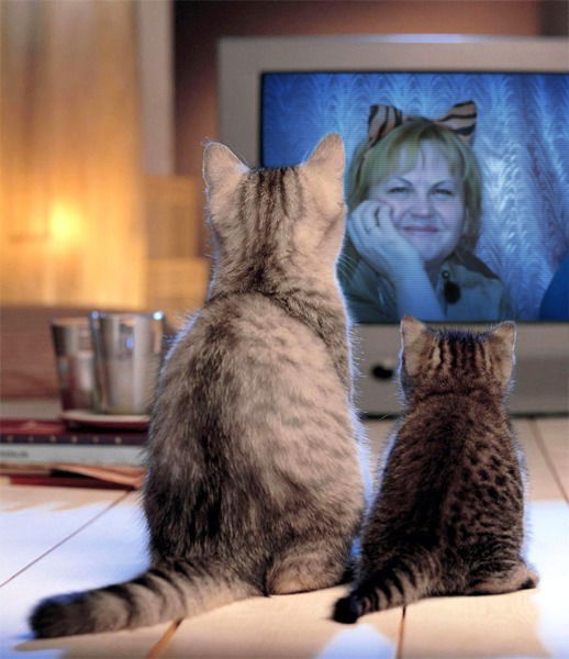 Галина Ледяева