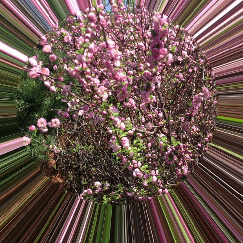 Александра Мартьянова