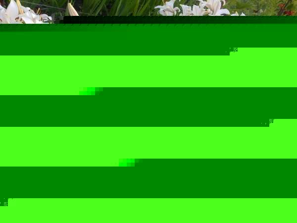 Андрей Смирнов