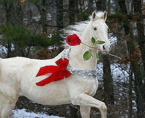 Людмила Сизова