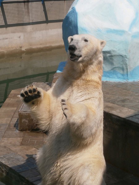 Сергей Яшин