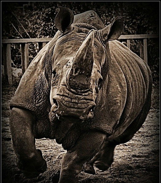 Илья Теплухин