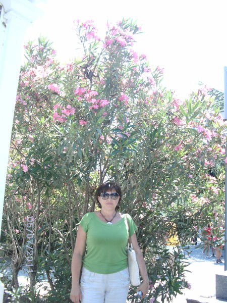 Елена Татаринова(Оноприенко)