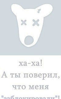 Даниль Сагдеев