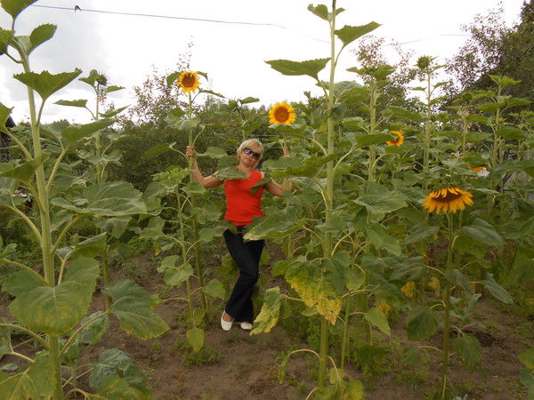 Ольга Лебедева