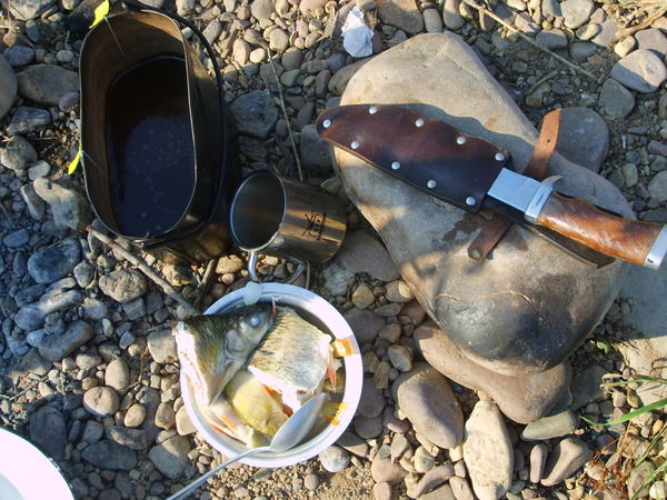 Алексей Карпенко