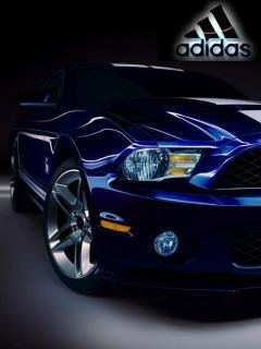 Дмитрий Даниелян