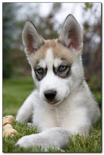 Наташа Галустян