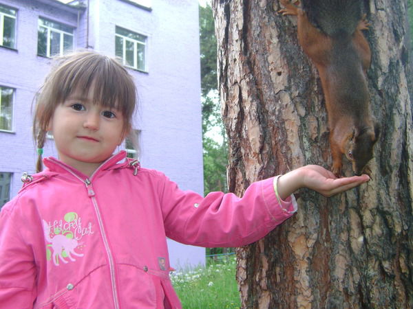 Елена Некрасова