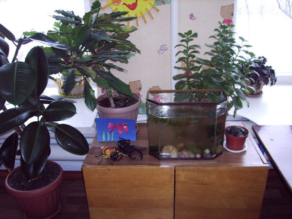 Влад Кулинич