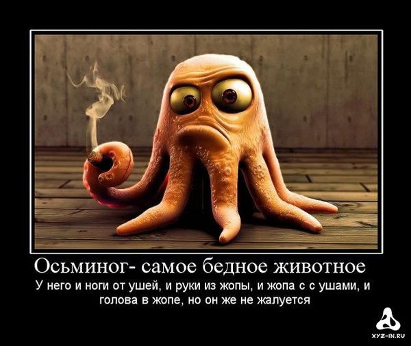 Александр Толстов