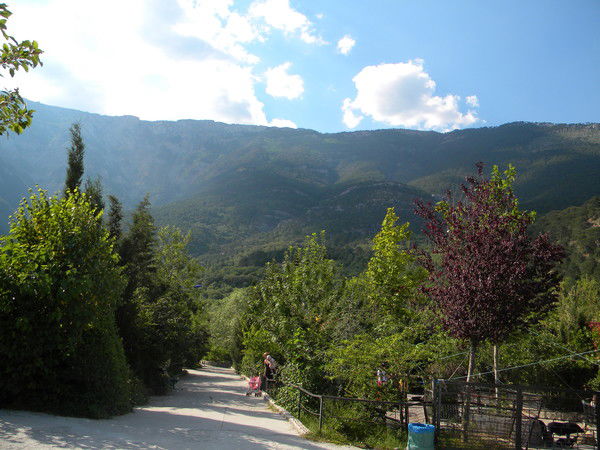 Сергей Анатольевич